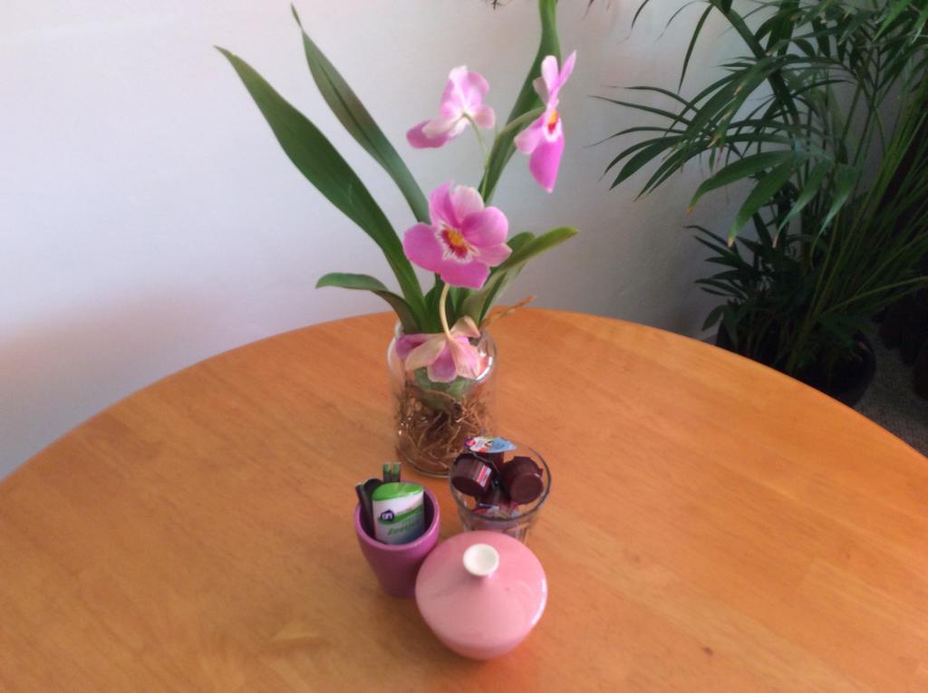 Imagine My B&B Rotterdam Extérieur photo